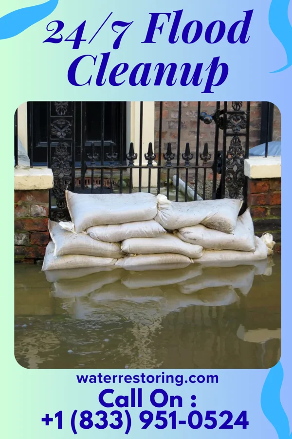 24/7 Flood Cleanup in Shadeland, IN