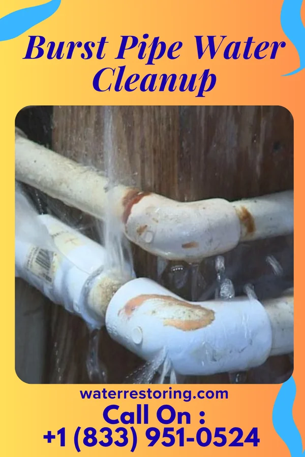 Burst Pipe Water Cleanup in Shadeland, IN