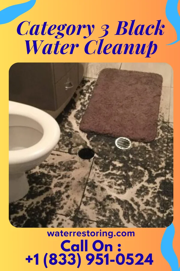 Category 3 Black Water Cleanup in Shadeland, IN