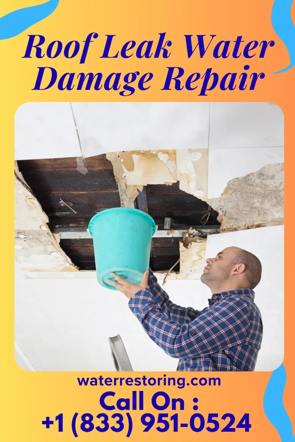 Roof Leak Water Damage Repair in Shadeland, IN