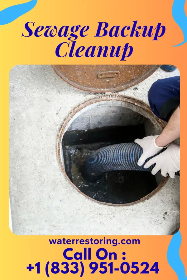 Sewage Backup Cleanup in Shadeland, IN
