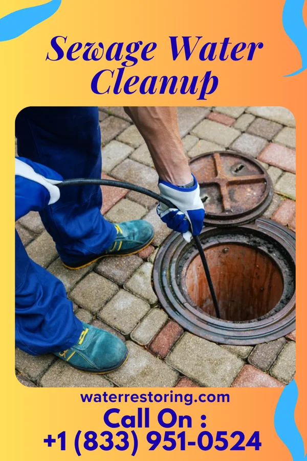 Sewage Water Cleanup in Shadeland, IN